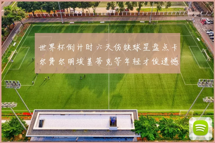 世界杯倒计时六天伤缺球星盘点卡尔费尔明埃基蒂克等年轻才俊遗憾缺席