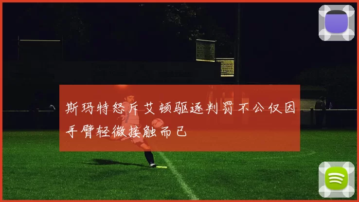 斯玛特怒斥艾顿驱逐判罚不公仅因手臂轻微接触而已